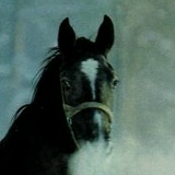 Чимит-Байыр Сат, 01.03.1990