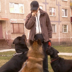 Алена Гребус, Железногорск