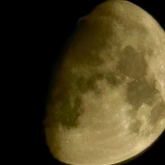 Elbek Nazhaev, 09.04, Шали