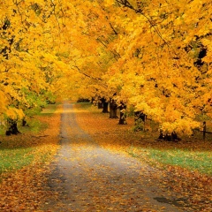 Абай Джагапаров, 08.05