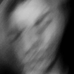 Никита Лисевич, 22.06.1996, Санкт-Петербург