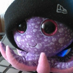 Юлия Яшина, Тула