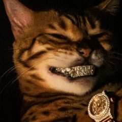 Арген Максатбеков, Москва