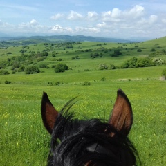 Тимур Зыгъэзэж