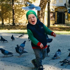 Денис Станкевич, Журавли