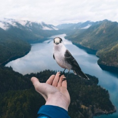 Ilnur Suleymanov, 09.06, Москва