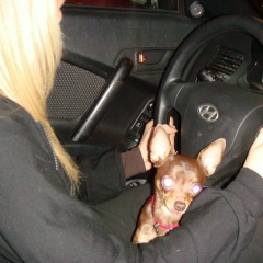 Оля Адамова, 02.06.1985, Зугрэс