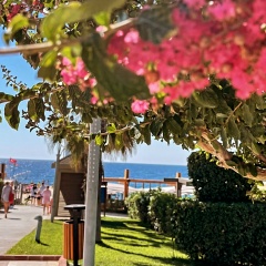 Иман Авхадова, 19.09