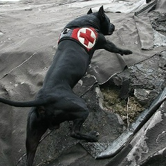 Любовь Котрехова, 26.12, Санкт-Петербург