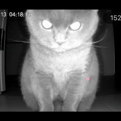 Страница Редактируется, 10.01.1987