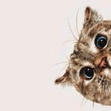 Дуейн-Дуглас Джонсон-Скала, 20.04