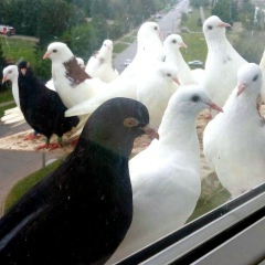 Мария Миронова, 22.08, Чебоксары