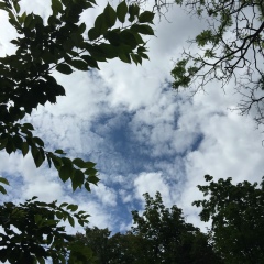 Карина Хелифи, 15.09, Dubai