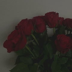 Юлия Кирилюк, Кишинев