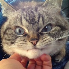 Рушан Бадертдинов, 01.01.1901, Набережные Челны