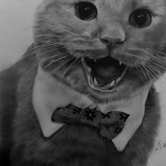 Светлана Бальченас, 27.11, Москва