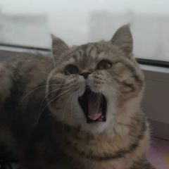 Дес Кораблев, 03.01, Мурманск