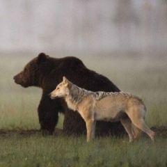 Айдос Нускабаев, 30.06.1990, Алматы