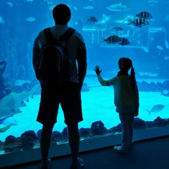 Артем Крецул, 08.03.1982, Helsinki