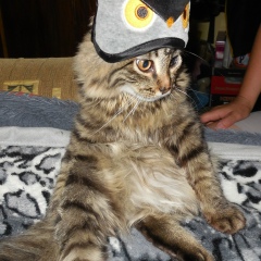 Екатерина Разинова-Лапина, 21.12, Астана