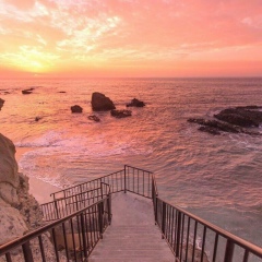 Яна Петросян