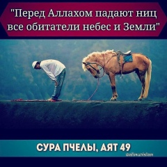 Юнус Ибрагимов, 23.12.1988, Шымкент