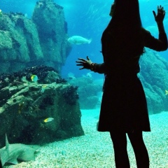 Лиза Финкель, 26.09.1991