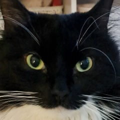 Татиана Ткаченко, 18.03, Санкт-Петербург