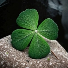 Серёжа Русский, 07.01.1908, München