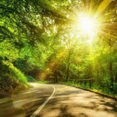 Виктор Арманов, 01.08.1985, Элиста