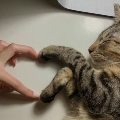 Татьяна Вережникова