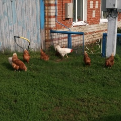 Евгений Матвеев, 27.09.1985, Казань