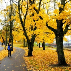 Davron Hakimov, 20.06, Санкт-Петербург