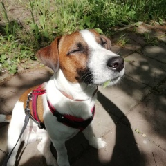 Александр Никулин, 20.03.1990, Москва