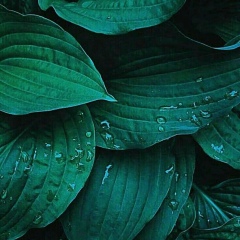 Татьяна Татьяна, Симферополь