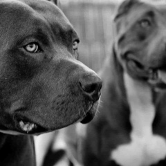 Юра Михалёв, Челябинск