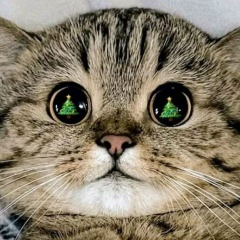 Александр Теребов, 28.01.1988, Кириши