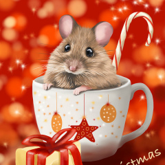 Юлия Шмакова, 29.04.1976, Санкт-Петербург