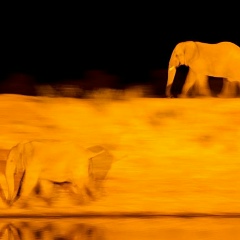 Рома Ревунов, 11.04.1988