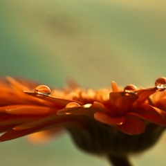 Irina Malceva, 17.10.1980, Иркутск