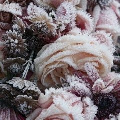 Алёна Кичигина, 11.11.1987, Одесса