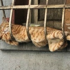 Ahmad Shalagi, 17.10.1987, Москва