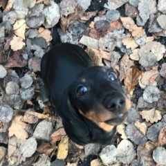 Алена Хён, 04.04.1986, Москва