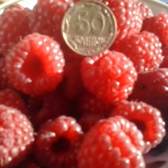 Танюша Каленюк, 05.12, Николаев