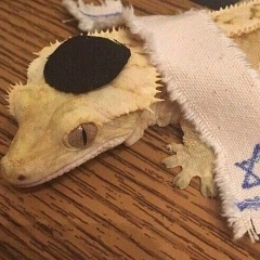 Яков Сибилев, Ногинск