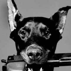 Алексей Вернигор