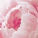 Ольгуня Бойко, 14.11, Киев