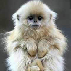 Алия Бисембаева, 08.07, Алматы