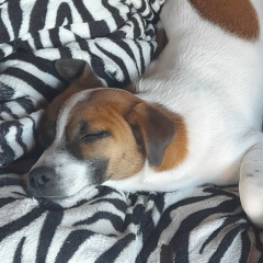 Лариса Соколова, 02.04, Санкт-Петербург