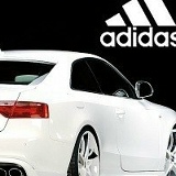 Илья Муромцев, Пермь